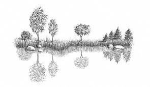 How To Make Reflection On A Lake In Drawing Water Drawing Drawings Reflection Drawing