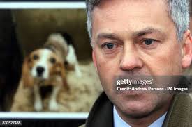 334 Alan Make I Stock Photos, High-Res Pictures, and Images