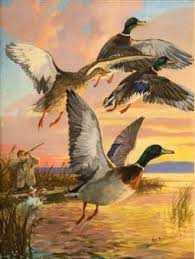 Mallard Marsh Ordek Avi Kus Sanat Resim Sanati