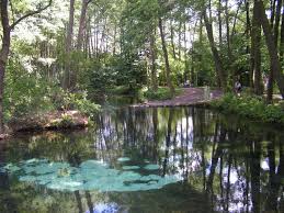 Teren stanowi atrakcje ze względu na występujące tu wywierzyska krasowe jedne z. Rezerwat Niebieskie Zrodla I Skansen Rzeki Pilicy