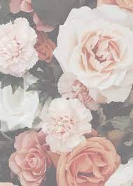 Check spelling or type a new query. 13 Fl Wers Ideas Planting Flowers Beautiful Flowers Beautiful Blooms