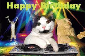Happy Birthday Gif Happy Birthday Funny Gifs Happy Birthday Cat Happy Birthday Funny Cats Funny Cat Videos