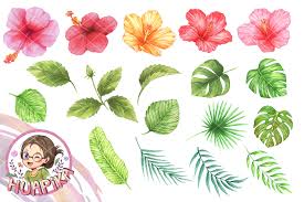 Easter cards easter crafts svg cutting files. 3d Hibiscus Svg Free Free Svg Cut Files Create Your Diy Projects Using Your Cricut Explore Silhouette And More The Free Cut Files Include Svg Dxf Eps And Png Files
