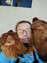 I got these two from a flea market. Big Red was the first along with two  others who didn't make it. Jackie is the other one because it was sold as a