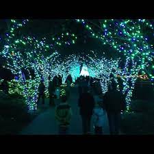 Atlanta Botanical Garden Atlanta Botanical Garden Botanical Gardens Night Landscape