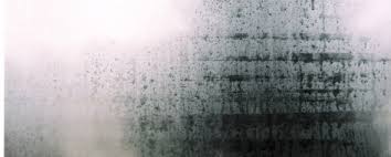 Hire the best window replacement companies in washington, dc on homeadvisor. Foggy Glass Window Repair Replacement Washington Dc Va Md Glass Repair Dc 202 413 3212