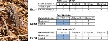 We did not find results for: Multiple Environmental Stressors Induce Complex Transcriptomic Responses Indicative Of Phenotypic Outcomes In Western Fence Lizard Bmc Genomics Full Text