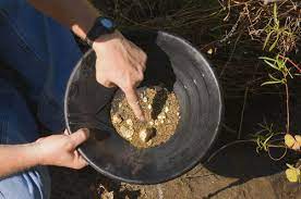 Inside the gold pan is the sniffer bottle. 4 Best Gold Panning Kits Easy To Use Everything You Need