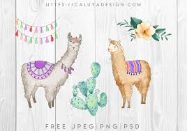 Follow their code on github. Free Watercolor Happy Alpaca Graphic With Png Jpeg Psd