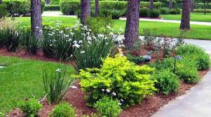 Pin By Mary Shearin Knepper On Landscaping Traditional Landscape Landscape Design Florida Landscaping