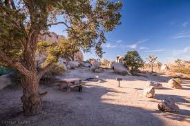 If entering from the west entrance in joshua tree, continue for about 10 miles. Photos Of Hidden Valley Campground Joshua Tree
