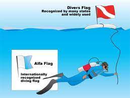 A diver down flag indicates that a diver is down underwater. The Different Types Of Dive Flags And When To Use Them Scuba Tips
