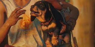 Far cry 6 amigos are its version of far cry 5's fangs for hire, ubisoft toronto confirmed with stevivor. Lgq R2ixe7wbwm