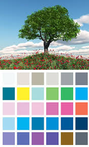 Les Couleurs La Methode Saisonniere Cheveux Marron Fonce Couleur Cheveux Marron Yeux Verts