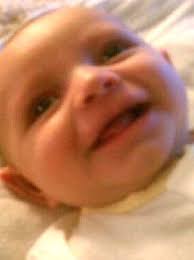 THE WELLS FAMILY ASSOCIAITON INC. NEWSLETTER 3273 YELLOWSTONE PARKWAY  LEXINGTON, KENTUCKY 40517