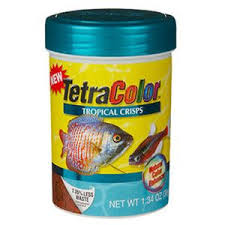 Null Tetra Fish Fish Recipes Fish