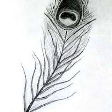 Peacock with beautiful feather designs. Drawing Of Peacock Feather Max Installer