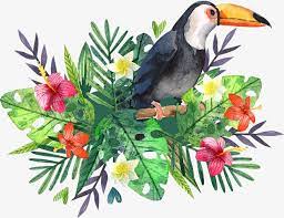 Cartaz De Passaro Grande Aquarela De Pintados A Mao Clipart De Tucano Material De Vetor Tucano Imagem Png E Psd Para Download Gratuito Bird Poster Bird Watercolor