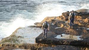 Rd.com pets & animals shark attacks are scary, but that is as far as the regular person's knowledge. A7wb7c8 Ro2agm