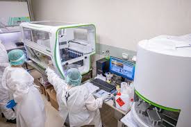 Quella brasiliana è considerata una società multietnica, essendo formata dai discendenti di europei, indigeni, africani e asiatici. Telenord Coronavirus A Varese Il Primo Caso In Italia Della Variante Brasiliana