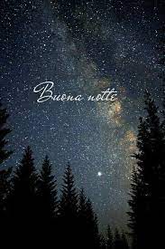 Pin De Tere Coa En Buonanotte Buenas Noches Memes Italianos Gabo