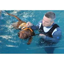 Canine Therapies, Preston