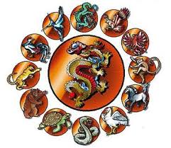 13 Animals Martial Arts Art Institutes Martial