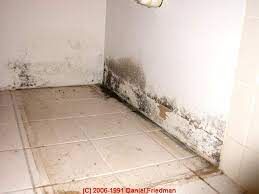 Mold on drywall walls because drywall is a substance high in cellulose, it is one of the. Mold On Drywall Mold On Sheetrock How To Find And Test For Mold In Buildings Looking For Mold A How To Photo And Text Primer On Finding And Testing For