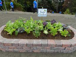 Sensory Taste Garden Sensory Garden Gardening For Kids Healing Garden