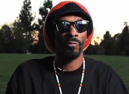 TIL that Snoop Lion has created a community gardening project called "Mind  Gardens" to provide fruits and vegetables to children worldwide. :  r/todayilearned