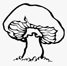 Mushroom Black And White Hd Png Download Transparent Png Image Pngitem Once image colors are converted to b&w, the download button should be enabled at the bottom of preview container. hd png download transparent png