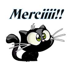 Résultat de recherche d'images pour "merci chat"