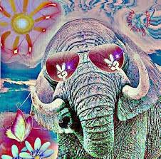 Some videos include audio and animation; Save The Date Hippie Elephant Goes Elephant In The Room Facebook