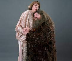 Why we wish we'd seen more of Hagrid and Madame Maxime | Wizarding World