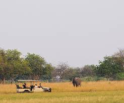 Moremi game reserve is a protected area in botswana. Moremi Game Reserve Botswana Okavango Delta