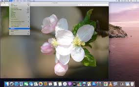 Download pdf expert to view, annotate and edit pdf documents on your mac. How To Convert Heic To Png Fast And Easy Converter365 Com