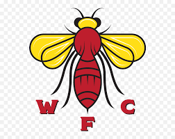 The purpose of the logo is to express the meaning of the product in the language of images. Watford Fc Watford Fc Hornet Badge Emoji Hornet Emoji Free Transparent Emoji Emojipng Com