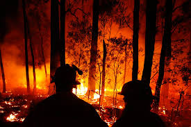 Es fundamental actuar tanto en las causas que originan los incendios como en las que los propagan. Australia Se Incendia Y Deberiamos De Hacer Algo Mas Que Contemplar El Fuego