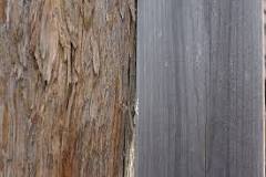 Image result for what is open grained wood