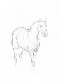 Horse Simple Drawing Original Pencil Sketch By Intuicio On Etsy Horse Drawings Horse Sketch Animal Drawings