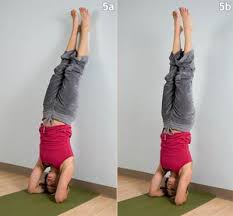 Healthy Life And Shape Yoga Tips Sirsasana Health Benefits Of Headstand Yoga Tips Headstand Poses How To Do Yoga