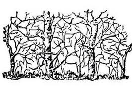 Download 3,010 animal illusion stock illustrations, vectors & clipart for free or amazingly low rates! Hidden Animal Forrest Illusion