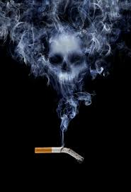 Pin On Psychic Near Me Call Whatsapp 27843769238