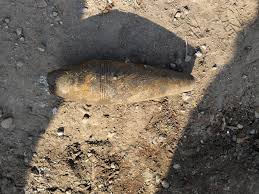 Nowgam Blast Wake Up Call For Centre To Strengthen Intelligence: Kharge