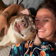 There's a golden lab running