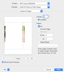 Solutions for canon printer won't print pdf files step 5 : How Do I Print To Pdf When The Page Layout Printers Don T Microsoft Community