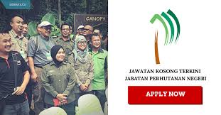 Jabatan perhutanan negeri pahang tingkat 5, kompleks tun razak bandar indera mahkota 25990 kuantan, pahang. Jawatan Kosong Terkini Jabatan Perhutanan Negeri Kerja Kosong Kerajaan Swasta