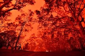 Históricamente, australia es un país que vive anualmente una temporada de incendios, debido a las condiciones que se dan en zonas con temperaturas extremas y largos periodos de sequías. Entenda Por Que Os Incendios Que Atingem A Australia Sao Tao Graves 06 01 2020 Ambiente Folha