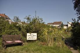 Einen herrlichen blick über bamberg bietet der rosengarten im innenhof der residenz. Selbsterntegarten Transition Bamberg