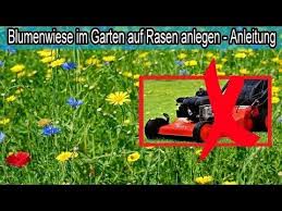 Naturliche Blumenwiese Im Garten Auf Rasen Anlegen Nur Noch 2 Mal Im Jahr Rasenmahen Youtube Blumen Wiese Rasen Anlegen Blumenwiese